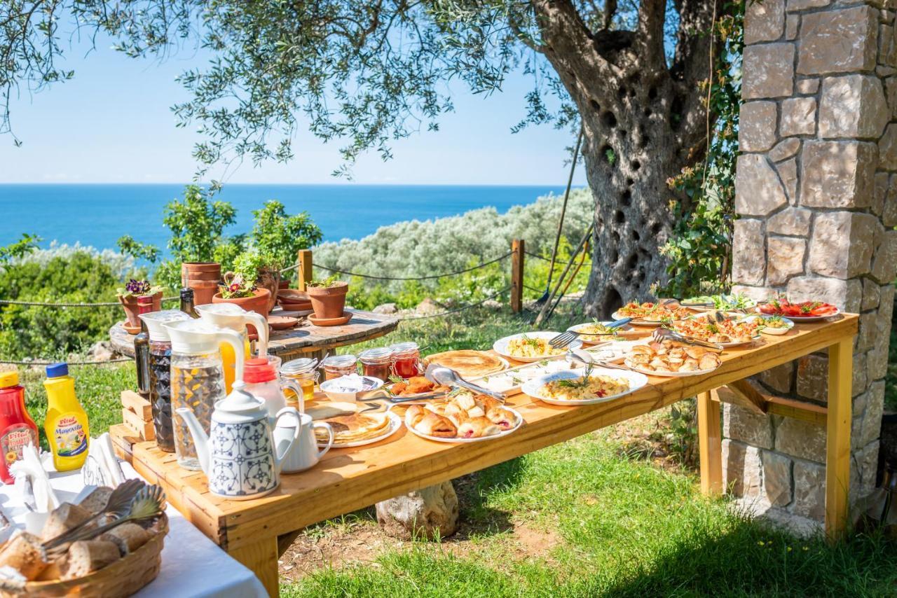 Holiday Park Olive Tree Ulcinj Bagian luar foto