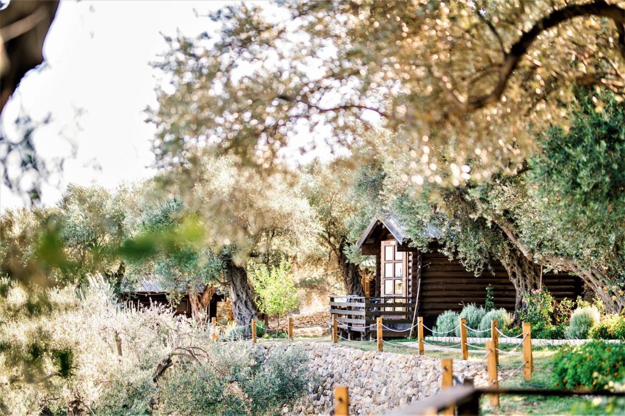 Holiday Park Olive Tree Ulcinj Bagian luar foto