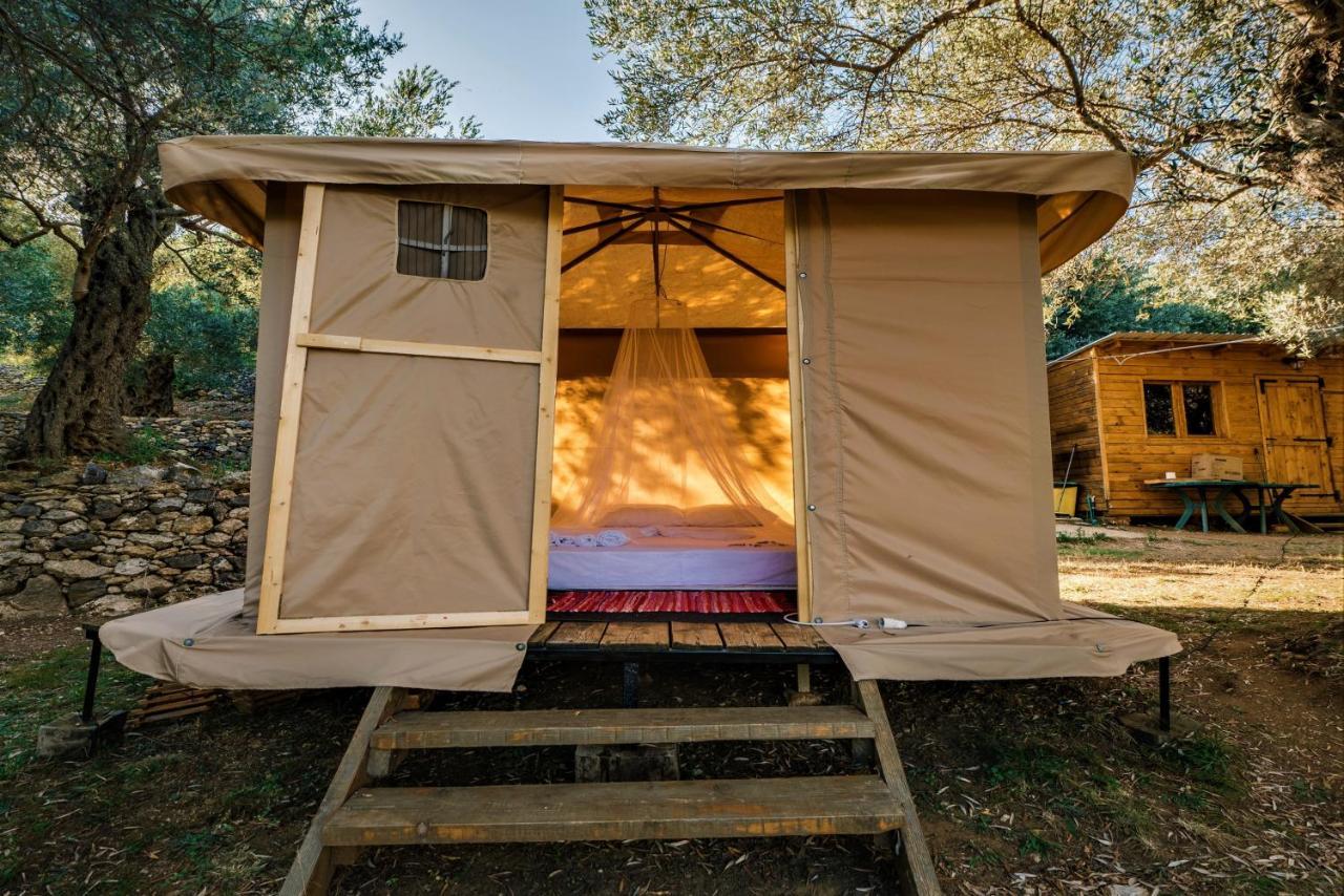 Holiday Park Olive Tree Ulcinj Bagian luar foto