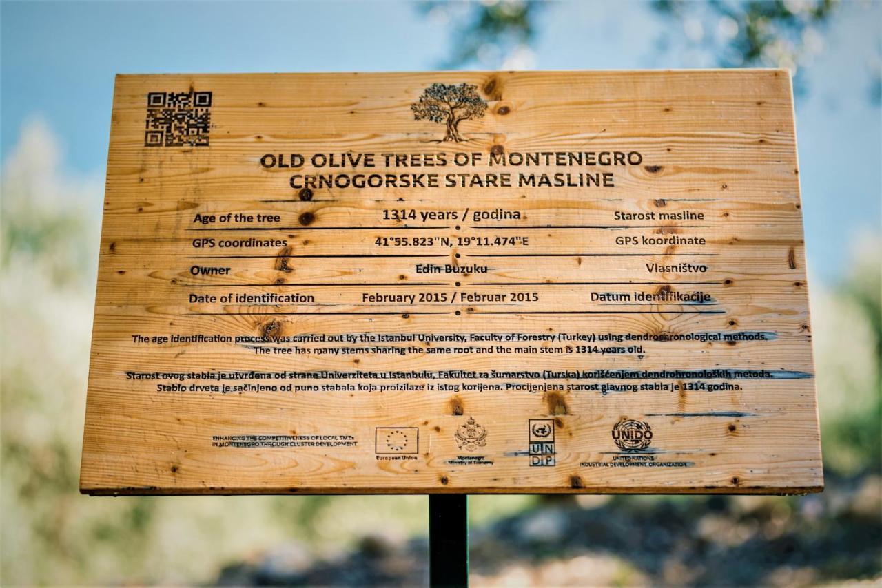 Holiday Park Olive Tree Ulcinj Bagian luar foto