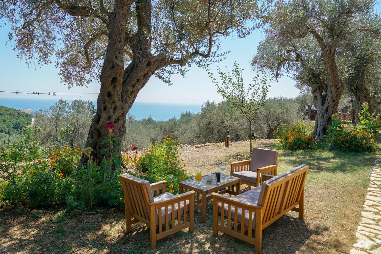 Holiday Park Olive Tree Ulcinj Bagian luar foto