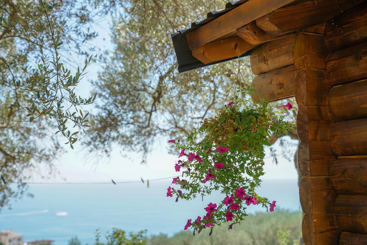 Holiday Park Olive Tree Ulcinj Bagian luar foto